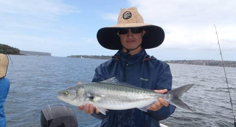 Salmon caught during a bust up in the harbour