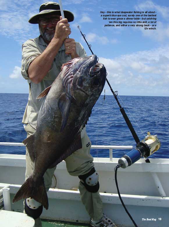 Catching Blue Eye Cod deep water fishing using electric reels