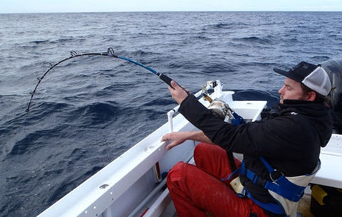 Sharks have a tendency to dive deep after getting near the boat