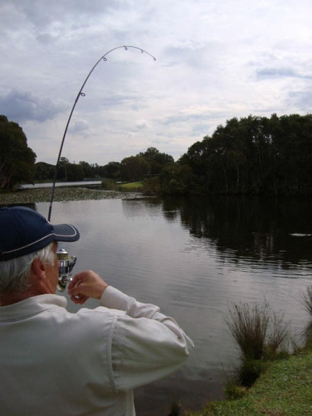 Sydney's waterways are stocked with carp, great fun on a light fishing combo
