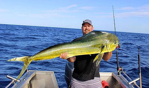 Lachlan with a great Mahi Mahi caught on a head start trolling rig