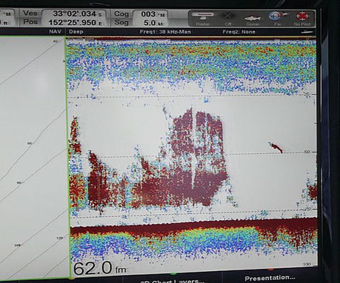 Fish the exact depth you see on your sounder by using a line counter