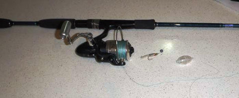 802 blue light spin combo pre rigged with a tiny soft plastic