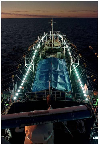 Commercial fishing ship set up with lights for squid