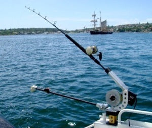 Trolling with live bait on a downrigger inside the harbour