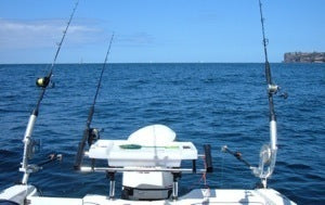 Trolling the Yellowtail live bait rigs behind the boat on downriggers