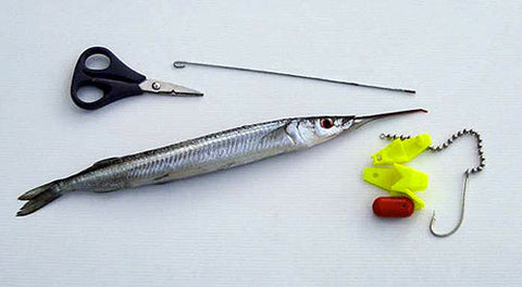 Garfish laid out it trolling rig, braid scissors and needle