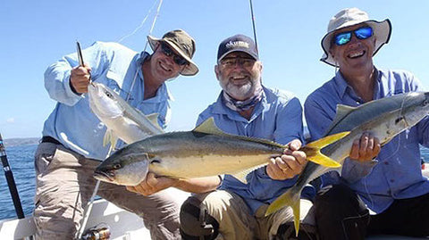 Even 65cm Kingfish make for a good, fun fight on light tackle