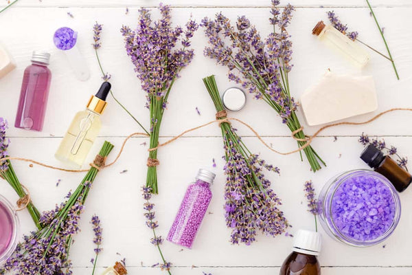 DOES LAVENDER ESSENTIAL OIL HELP TO REPEL MICE?