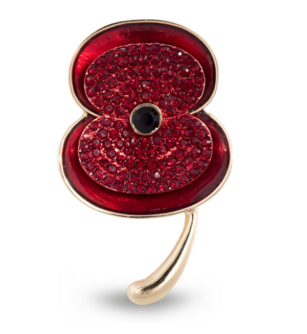 Remembrance Sunday the Royal British Legion Poppy