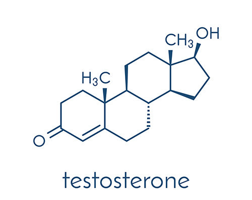 molecular breakdown of testosterone hormone