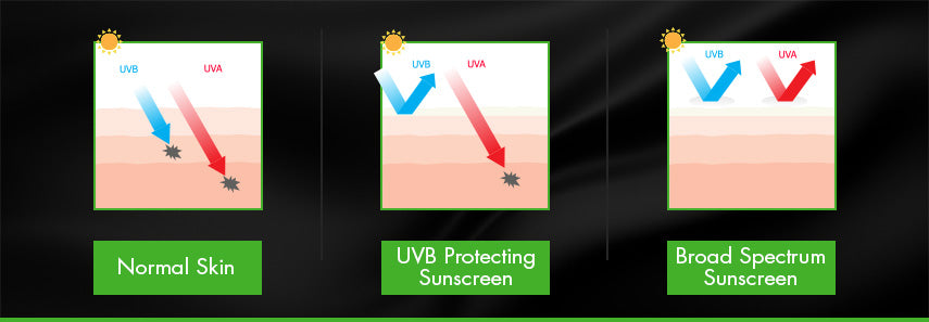 full spectrum sunscreen graphic