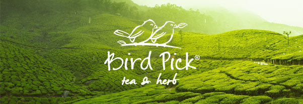 Bird Pick Tea  Herb