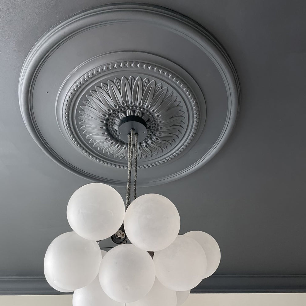 modern ceiling rose light