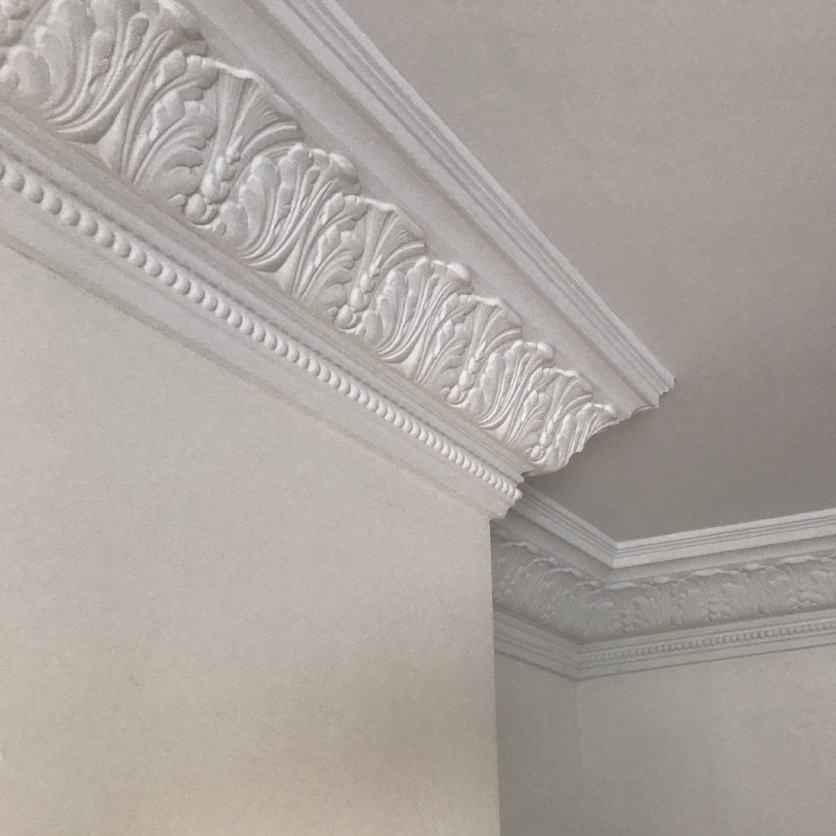 Plaster Coving Large Acanthus Leaf 165mm Drop Lpc021