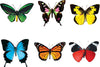 Butterflies