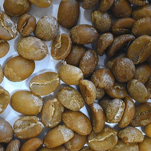 Browning Organic Coffee Beans