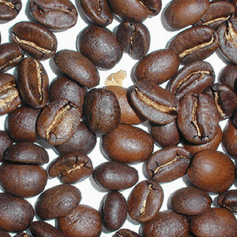 City Roast Organic Coffee Beans