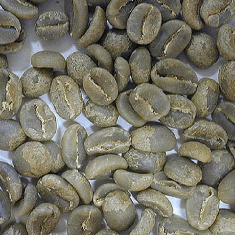 Green Organic Coffee Beans