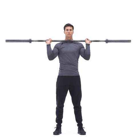 Standing Military Press Barbell Exercise 