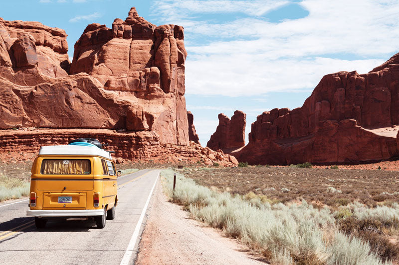 Volkswagen Van in Zion park