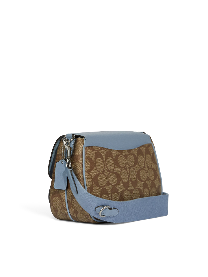 blue and brown coach bag