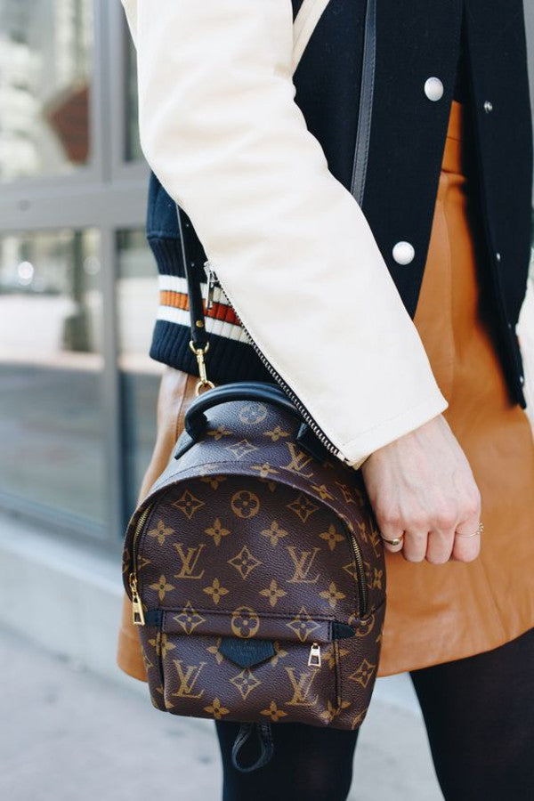 Louis Vuitton Palm Springs Backpack Mini M41562