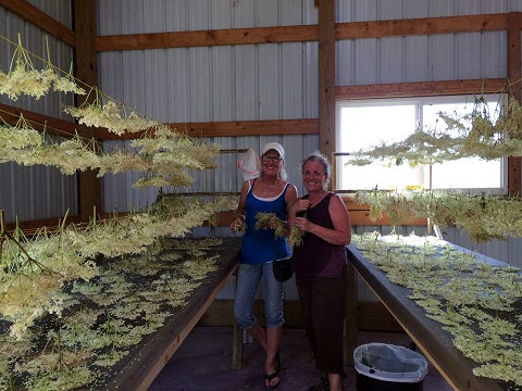Norm's Farms Elderflower Drying