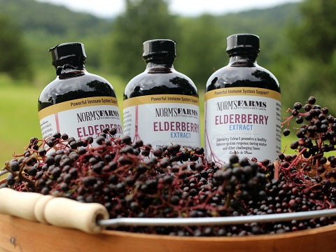 Norm's Farms Elderberry Extract