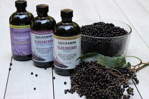 Norm's Farms Elderberry Supplements