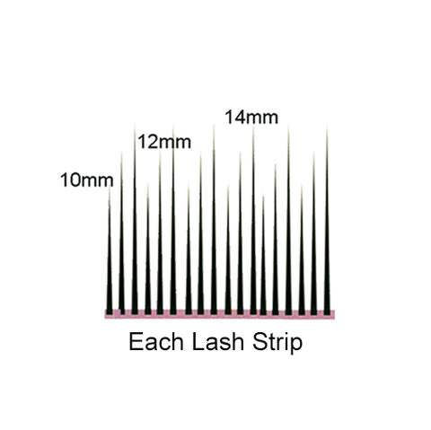 Lenghts of Each Lash Strip