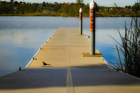 lake murray san diego california roller skating place