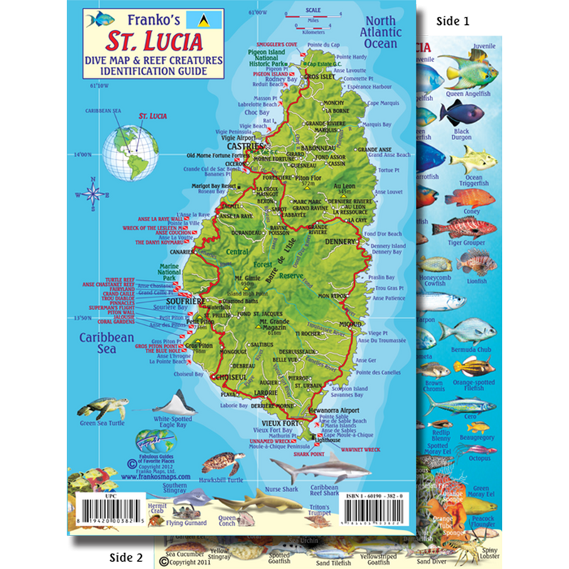 Lucia Dive Map & Reef Creatures Guide Waterproof Fish Card by Franko Maps St 