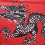 Vintage Chinese Dragon Dress