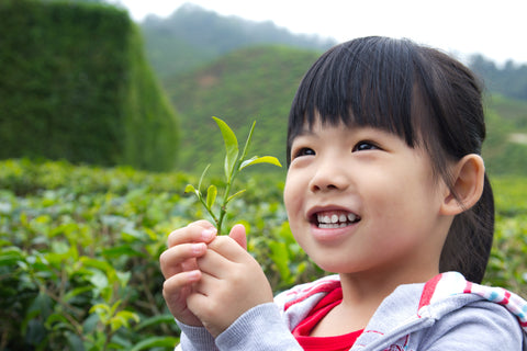 Les plantes pour mieux vivre