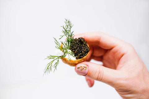 Russian Ossetra Caviar with beautiful grains in held in a hand. 
