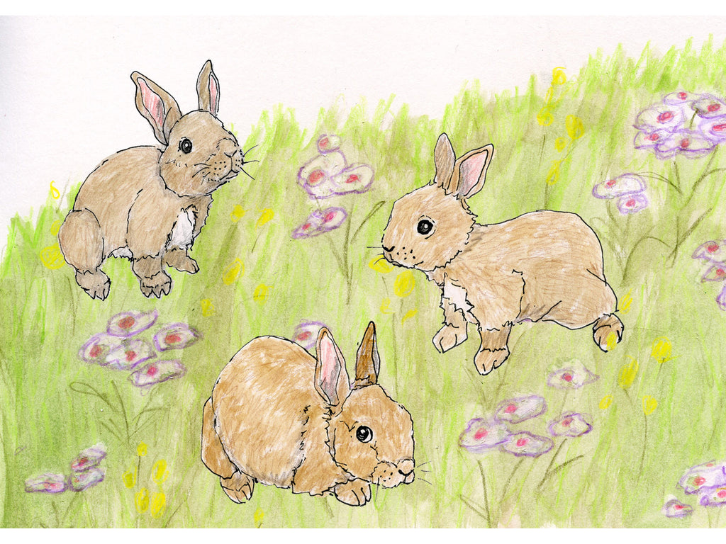 Baby Bunnies in Flower Meadow
