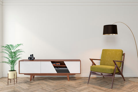 Mid-Century Modern Furniture 