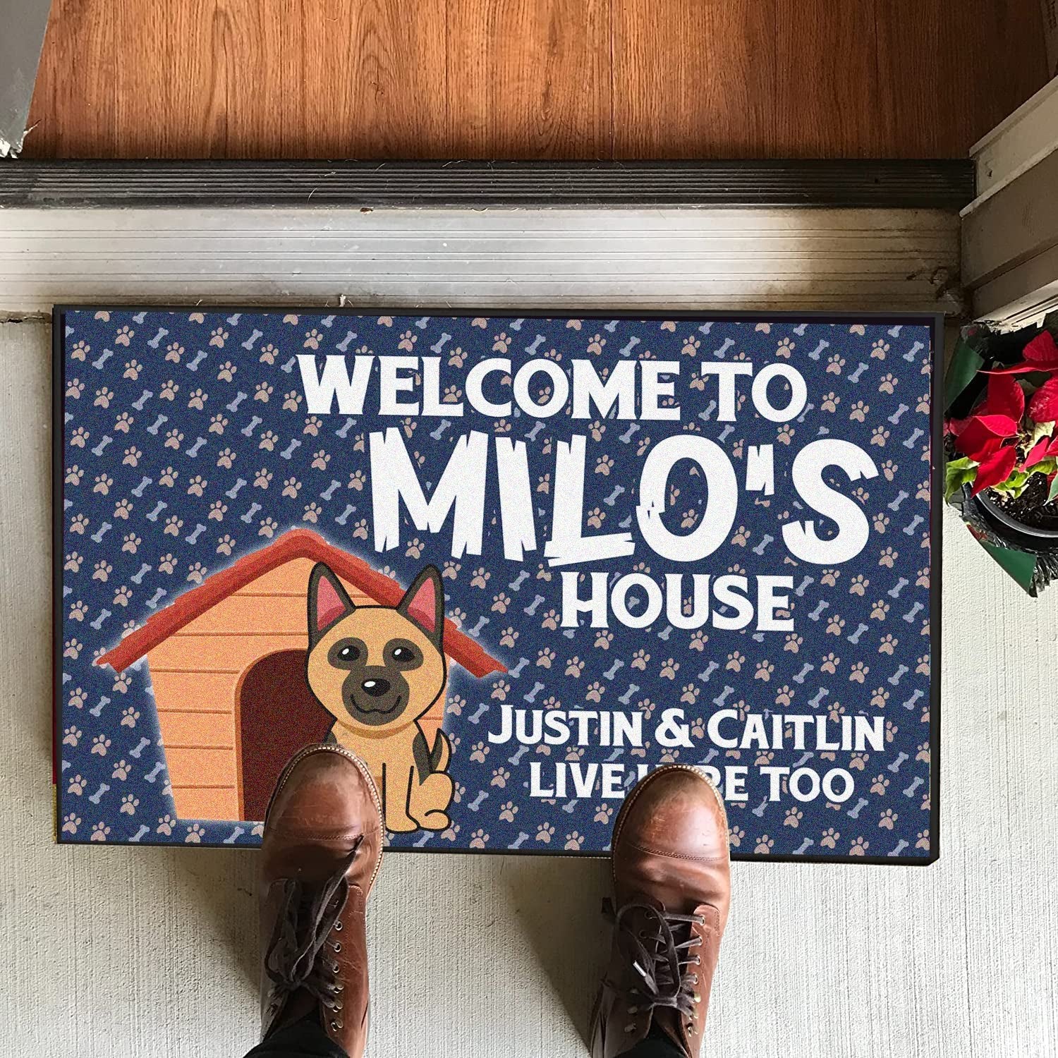how do you welcome a dog in your house