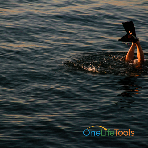 Diver's feet sticking up out of the water, representing the deep dives that career coaching clients can take with a narrative approach