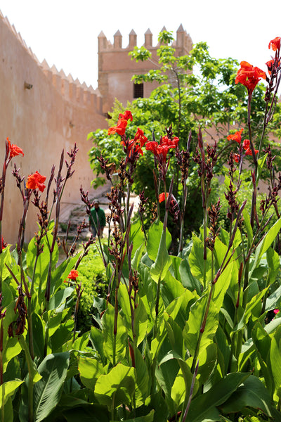 Kasbah in Rabat, Morocco