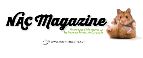 NAC Magazine