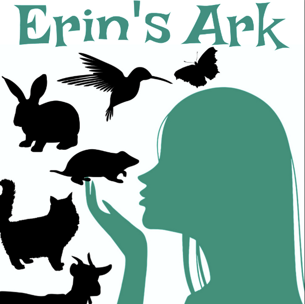Erin's Ark