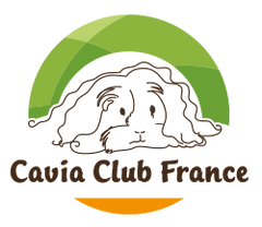 Cavia Club France