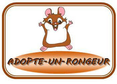 Adopte un rongeur