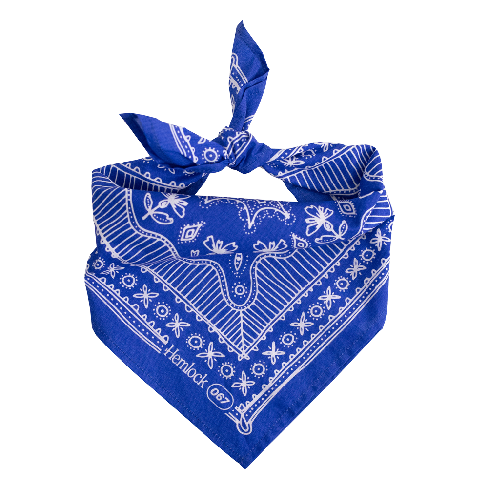 No.67 Nyla Bandana