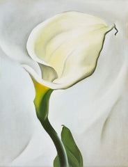 painting of a calla lily by Georgia O'Keefe