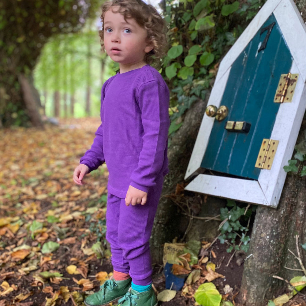 Slugs & Snails Organic Waffle Cotton Top - Purple