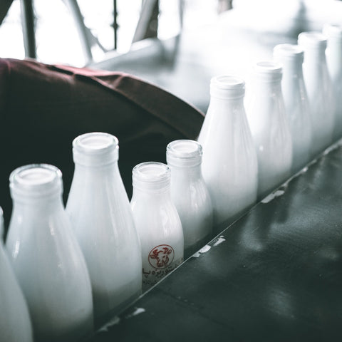Lácteos y sus derivados