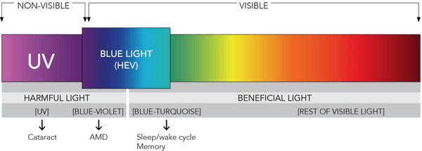 Light spectrum - where blue light is